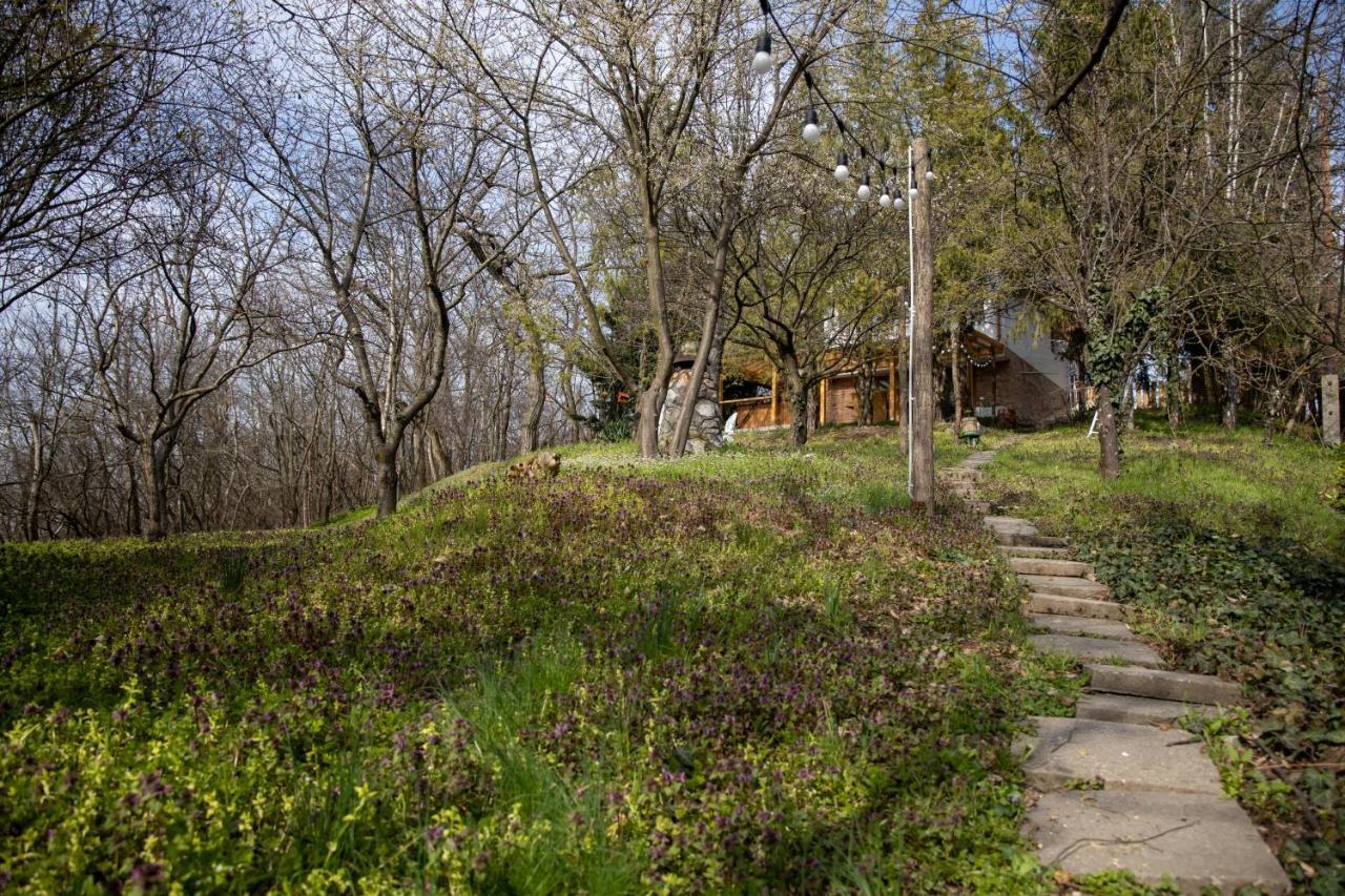 Egercottages - Csillag Cottage Ngoại thất bức ảnh